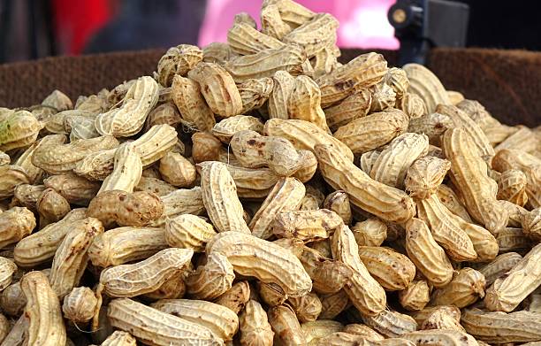 Peanuts steamed with spices are a popular Chinese snack